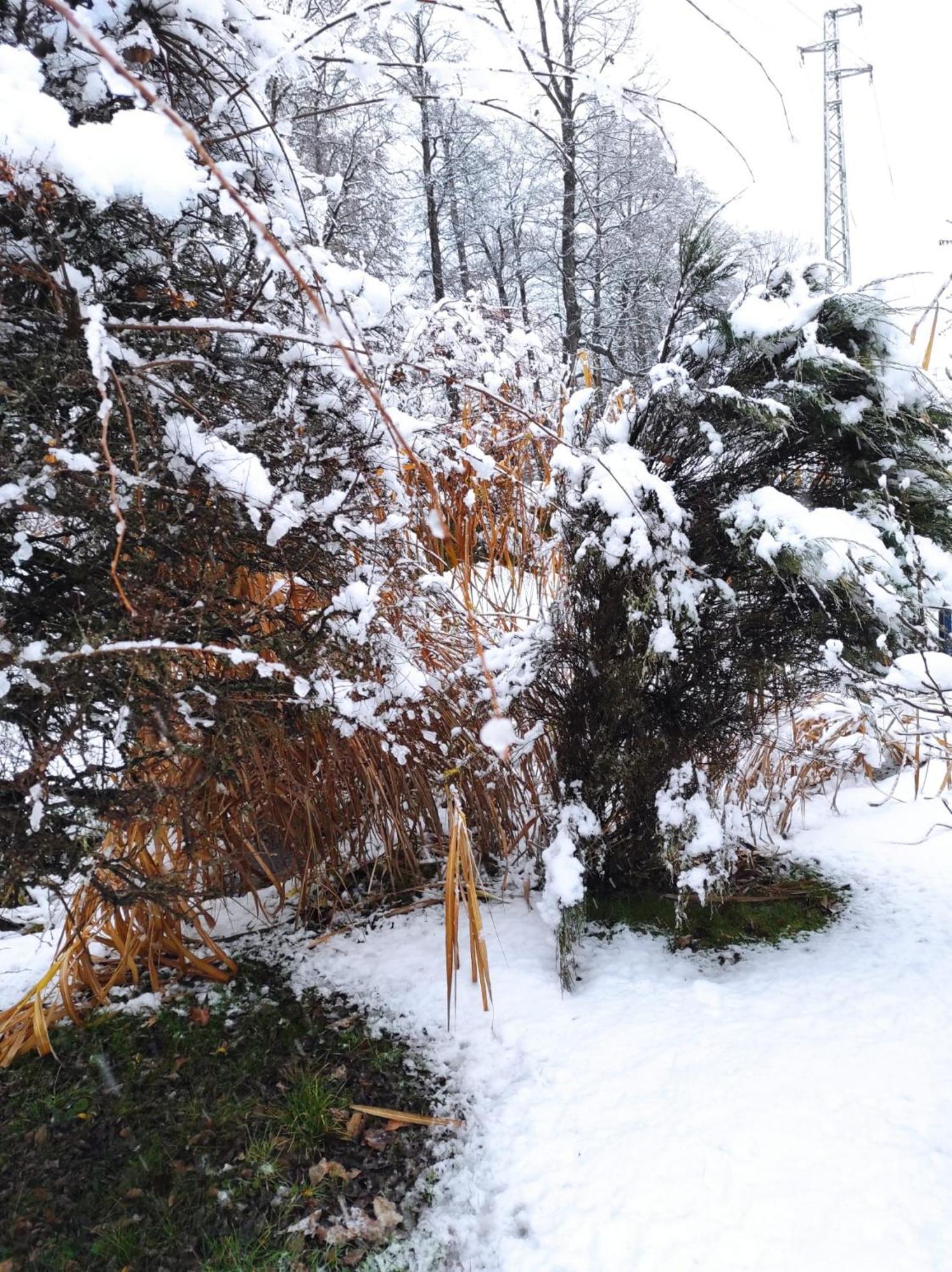 Penzion Kosky Hamr Exterior foto